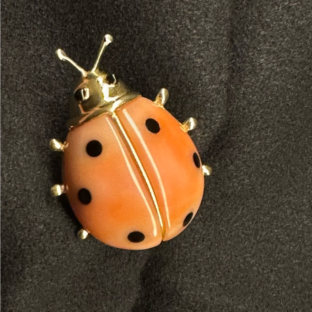 14k gold, Coral, inlay Black Onyx Ladybug Brooch